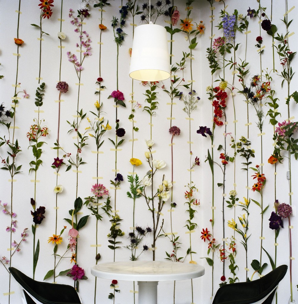 fleurs-fraiches-mur