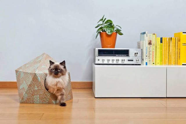 The-Cat-Box-by-Delphine-Courier-inspiration