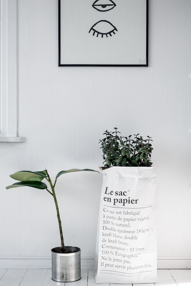 1_sac_papier_plantes_elephantintheroom
